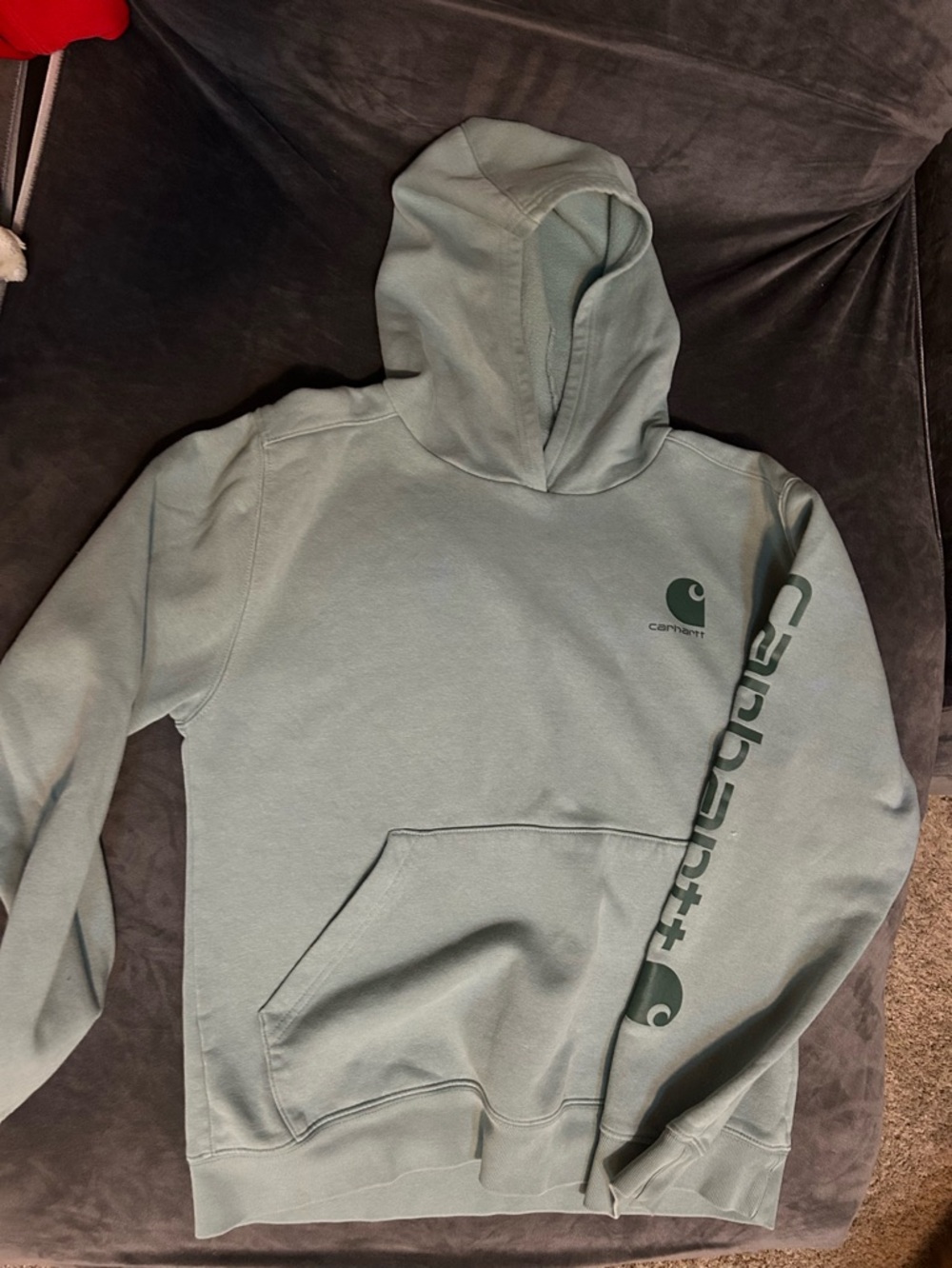 Carhartt Men’s Sage Green Logo Crewneck Hoodie